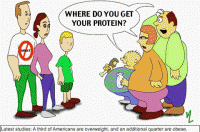 /album/fotogaleria/vegetarian-protein-gif/